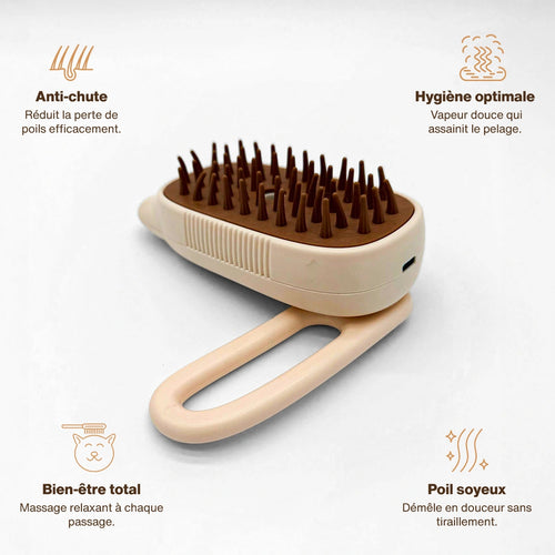 Brosse vapeur by Lyla
