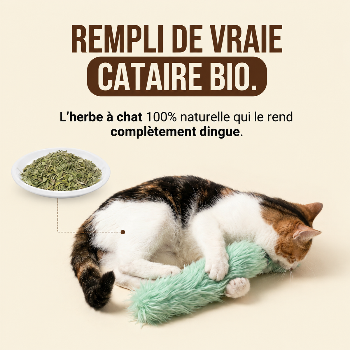 Relleno de auténtica nébeda: la hierba gatera 100 % natural que lo vuelve loco