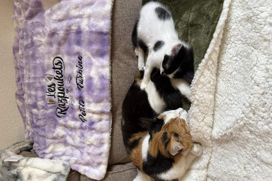 Deux chats lovés sur un plaid Razpoukets brodé au prénom de leur chat