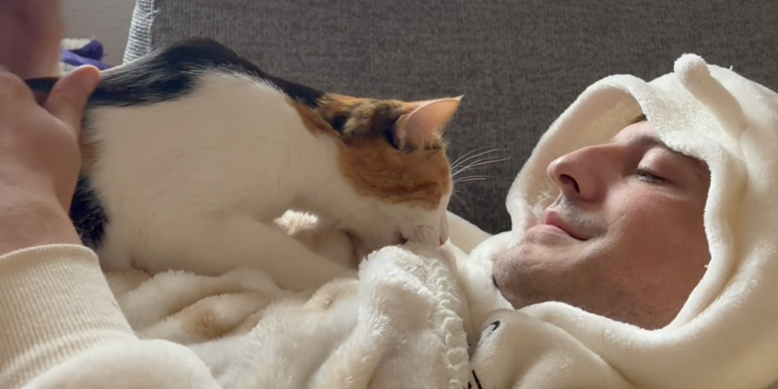 7 signes que votre chat vous fait totalement confiance