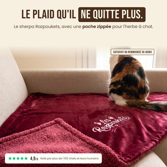 Le plaid zippé Razpoukets bordeaux, un chat de dos installé dessus, noté 4,9/5