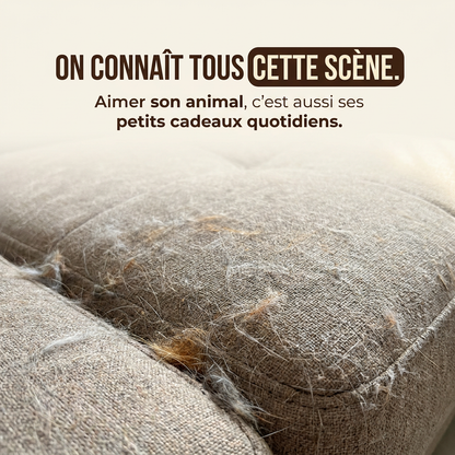La Brosse 4 en 1 — Le Soin Quotidien