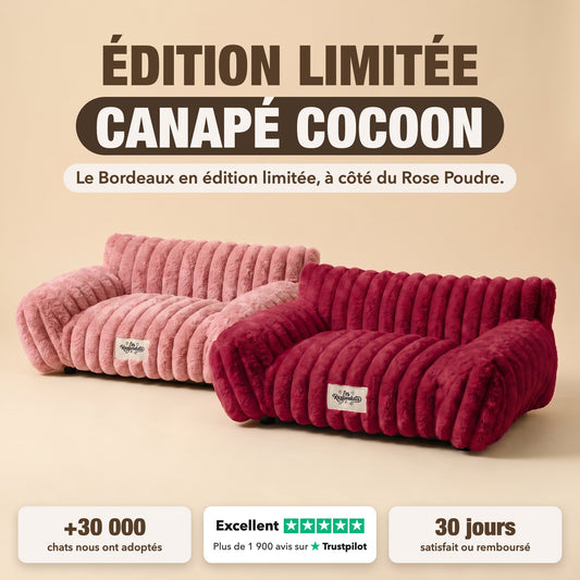 Le Canapé Cocoon Razpoukets