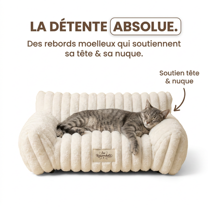 Chat détendu, tête soutenue par les rebords moelleux du canapé Razpoukets