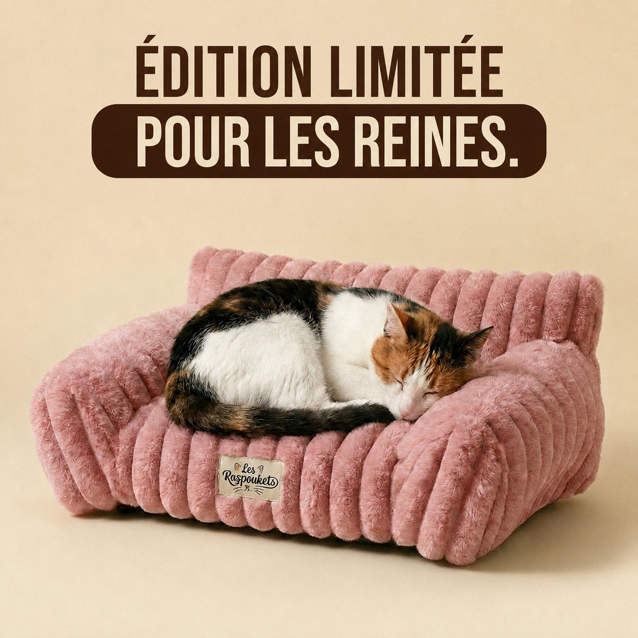 Le Canapé Cocoon Razpoukets