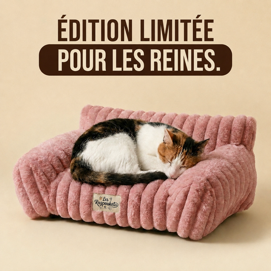 Le Canapé Cocoon Razpoukets