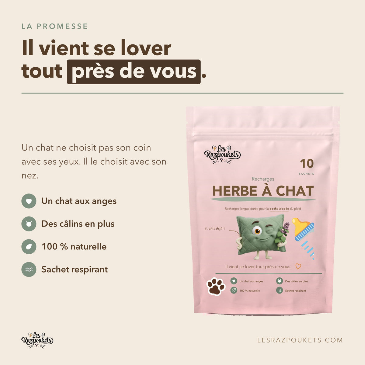 Recharges d'herbe à chat 100 % naturelle, sachet respirant, pour le plaid Razpoukets