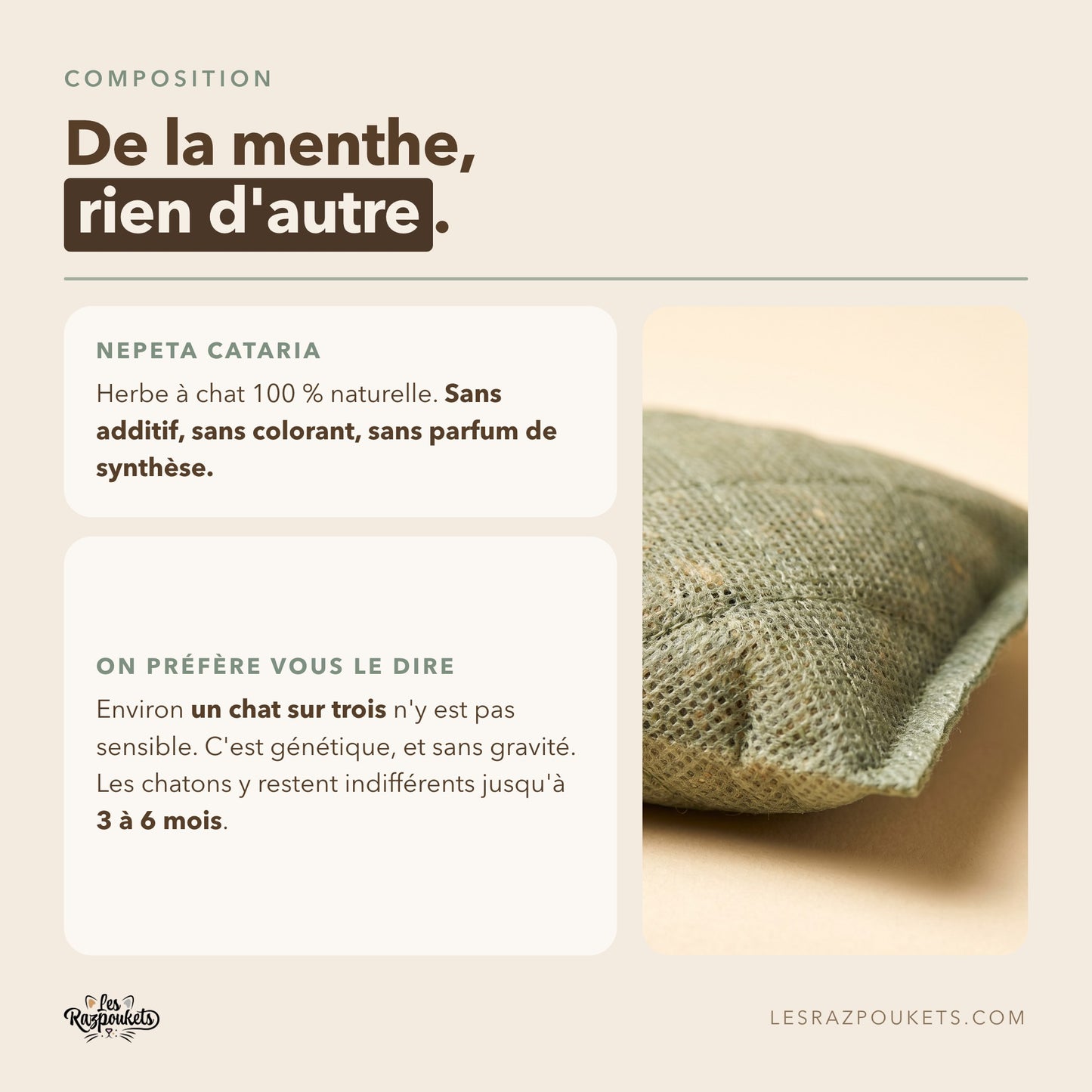 Composition des recharges, herbe à chat Nepeta cataria 100 % naturelle sans additif