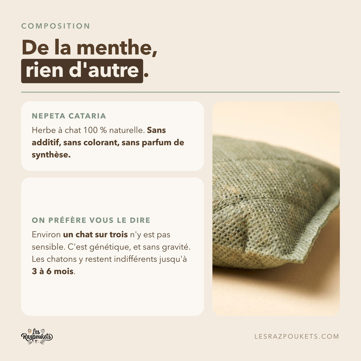 Composition des recharges, herbe à chat Nepeta cataria 100 % naturelle sans additif