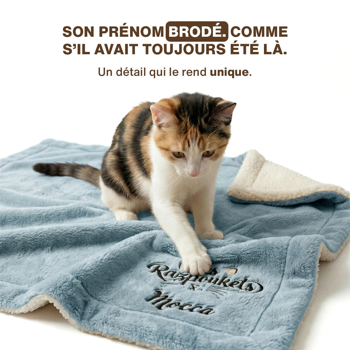 Le Plaid - Personnalisé