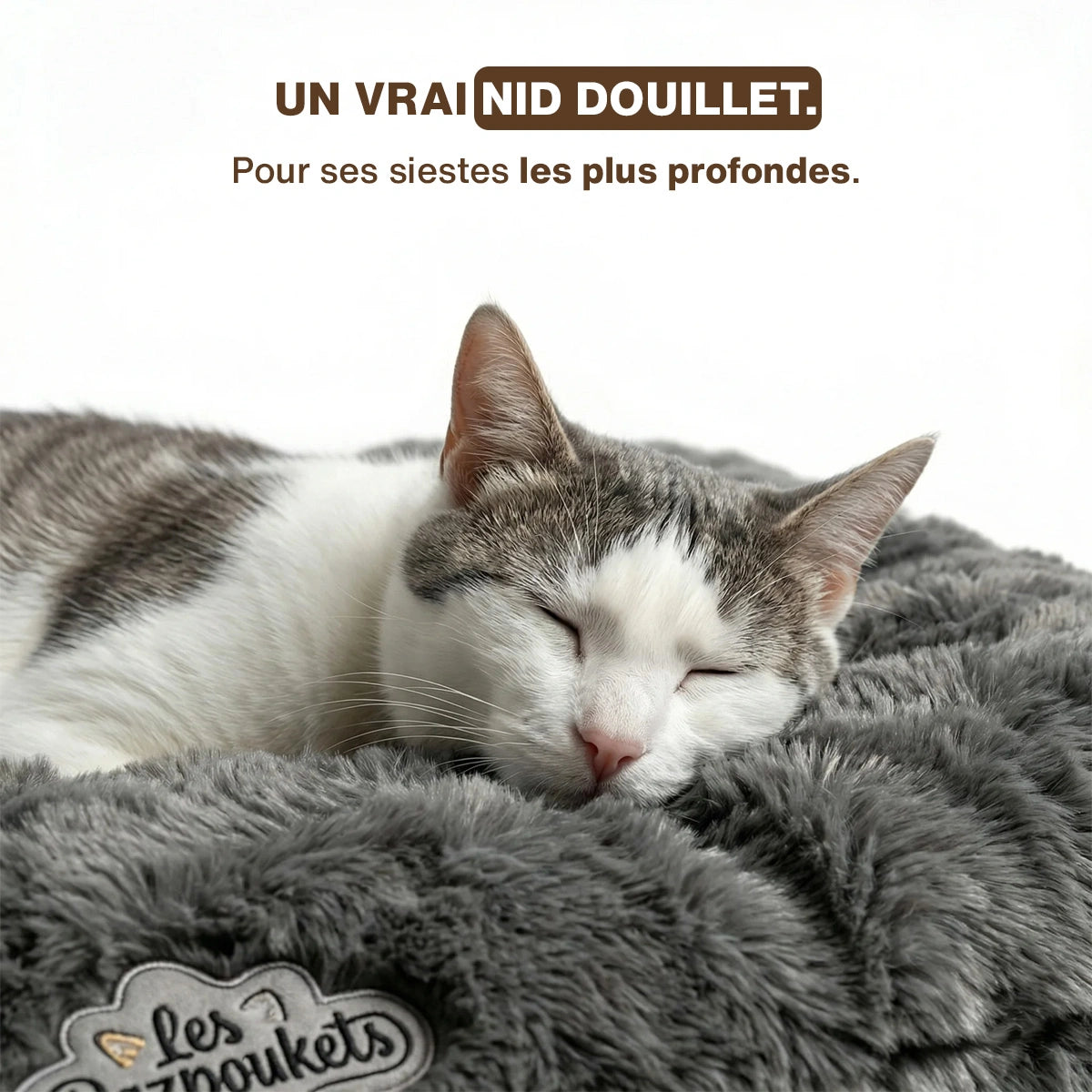 Coussin pour chat XXL — détail housse zippée lavable
