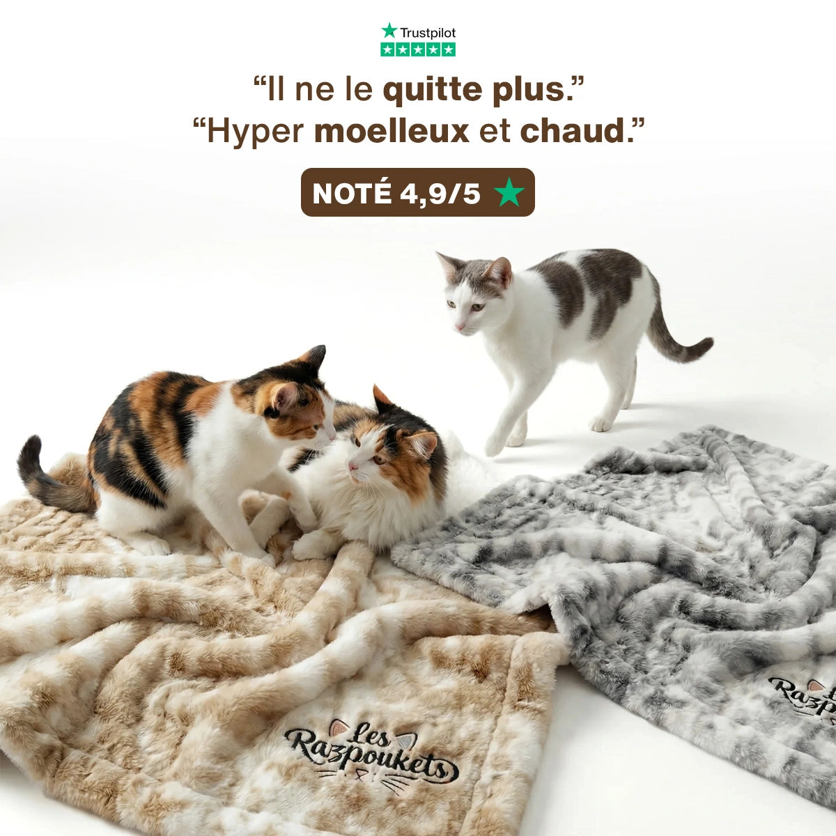Couverture Cocon pour chat — sherpa + polaire premium