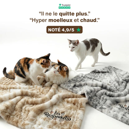 Couverture Cocon pour chat — sherpa + polaire premium