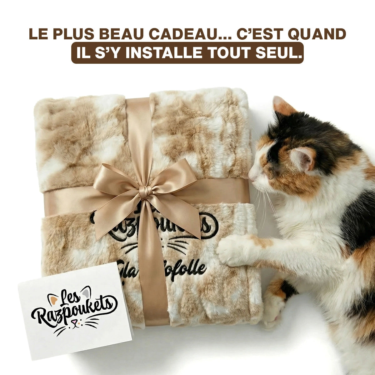Plaid Cocon chat personnalisé — cadeau amoureux des chats