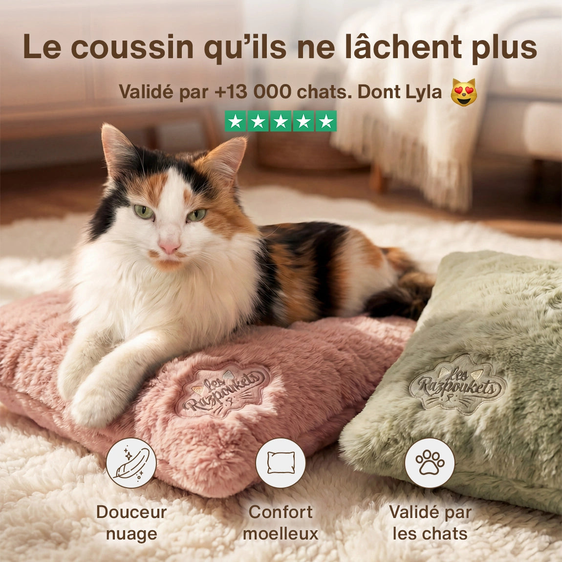 Coussin Cocoon Razpoukets