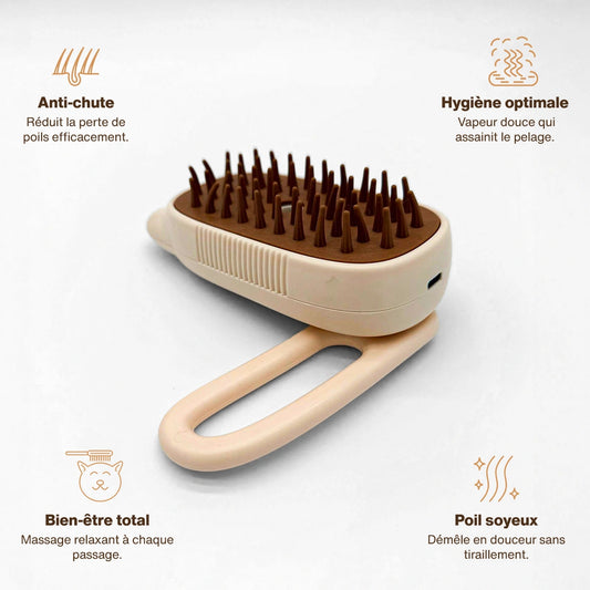 Brosse vapeur by Lyla