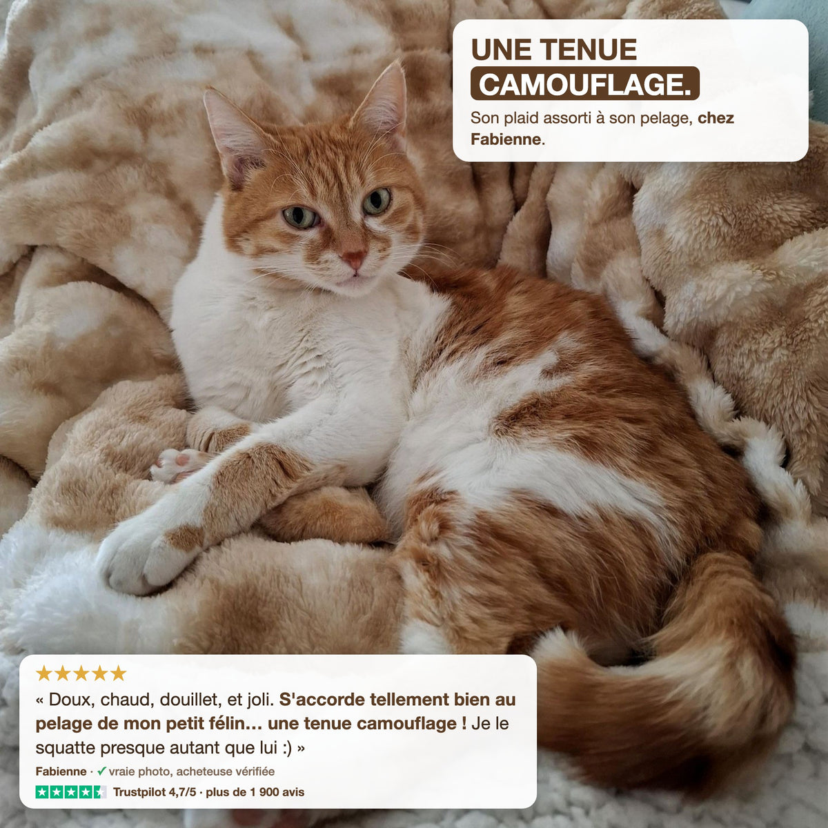 Opinión de cliente: Fabienne y su gato pelirrojo sobre la manta Cocon beige