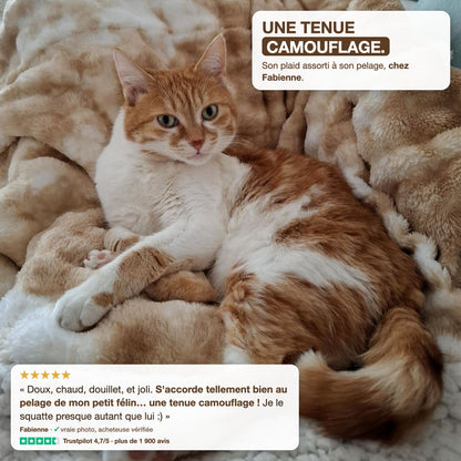Opinión de cliente: Fabienne y su gato pelirrojo sobre la manta Cocon beige