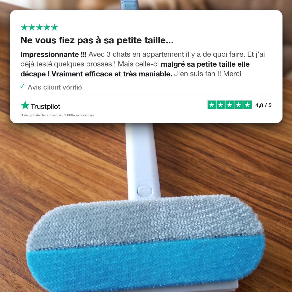 La Brosse 4 en 1 — Le Soin Quotidien