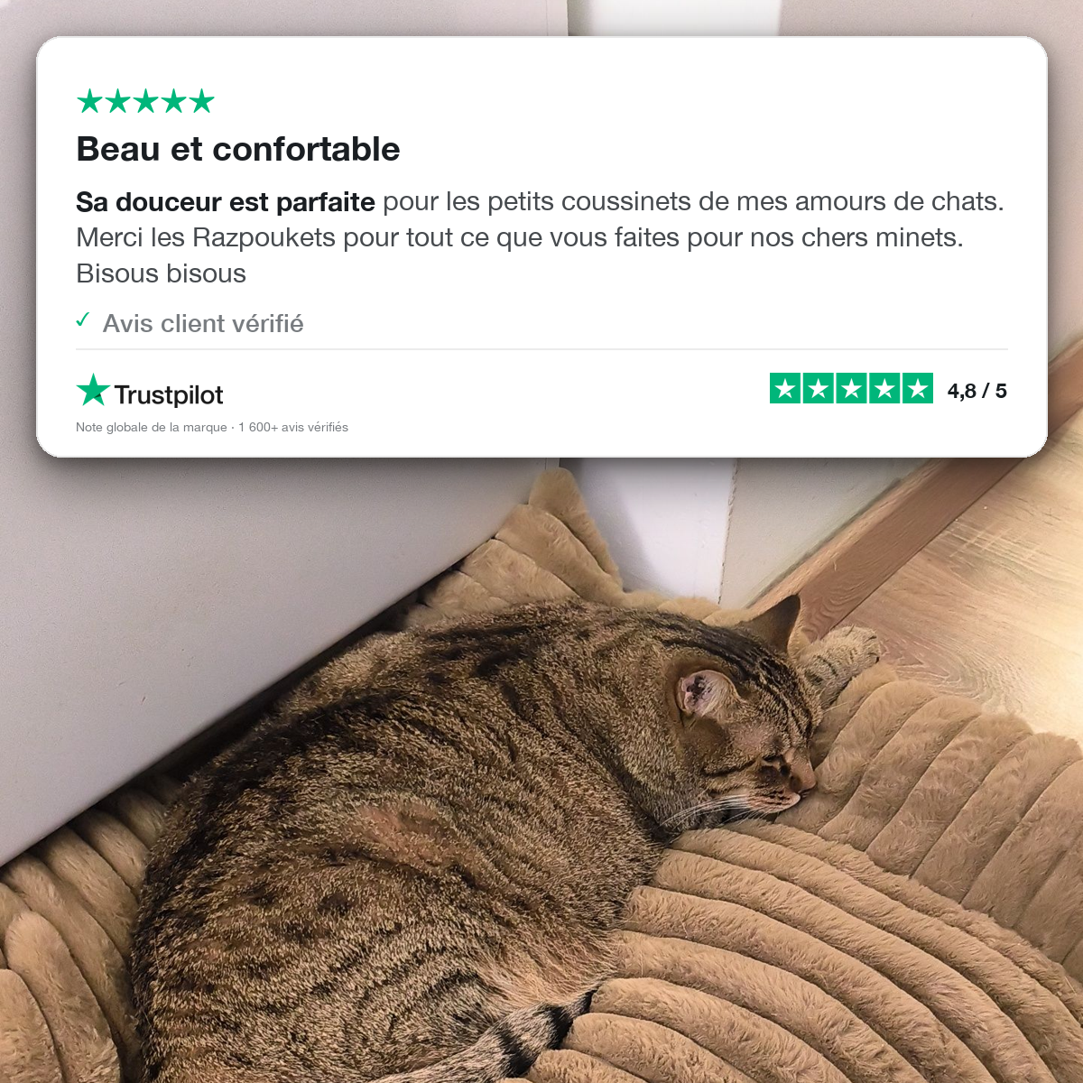 Le Canapé Cocoon Razpoukets