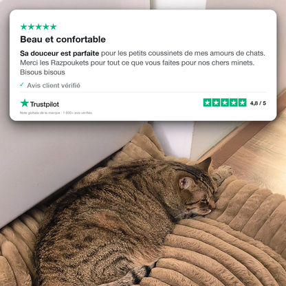 Le Canapé Cocoon Razpoukets