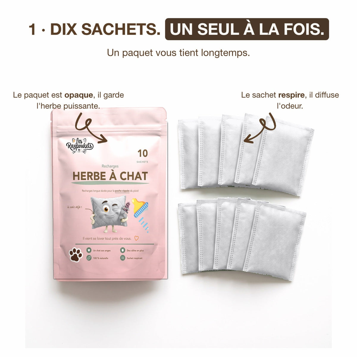 Dix sachets d'herbe à chat, un seul à la fois dans la poche du plaid