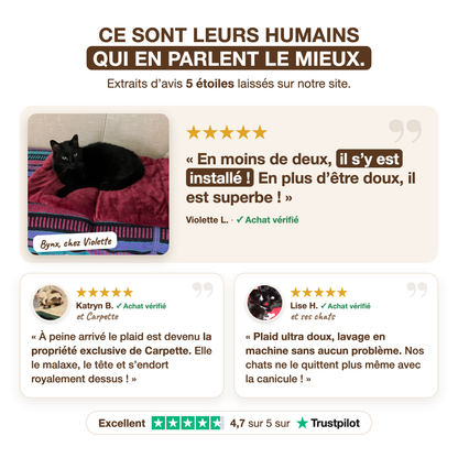 Opiniones de clientes de 5 estrellas sobre la manta Razpoukets, compras verificadas, Trustpilot 4,7 sobre 5