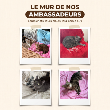 El muro de nuestros embajadores: cuatro fotos reales de gatos de nuestros clientes sobre sus mantas Razpoukets bordadas, rosa, azul cielo, roja y blanca