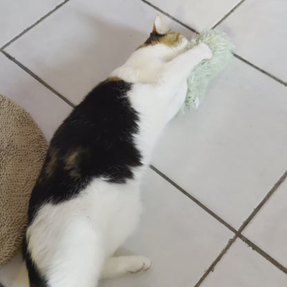 Le Trio Câlin — Jouets à l'Herbe à Chat & Bruit de Froissement