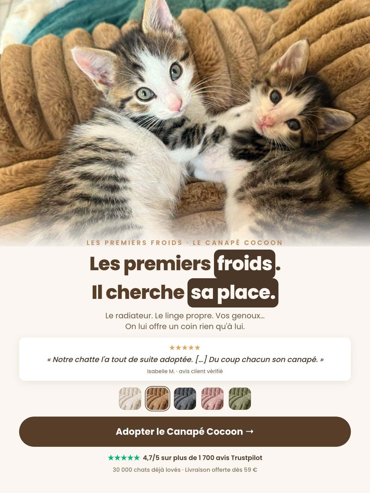 Deux chatons blottis sur le Canapé Cocoon caramel, plaid vert derrière
